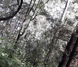 Stay Bariloche / Vinicola del Bosque photo