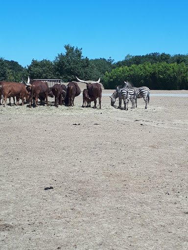 Fermes avec animaux Toulouse