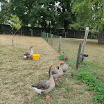 Photo n° 2 de l'avis de Miss.e fait le 16/08/2022 à 13:59 pour Ferme Du Zoo Maubeuge à Maubeuge