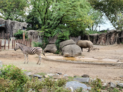 Philadelphia Zoo image 6