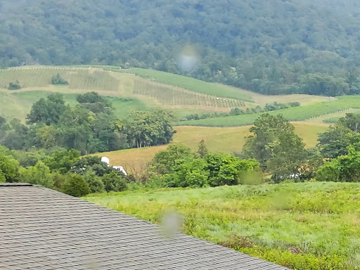 Vineyard «Glen Manor Vineyards», reviews and photos, 2244 Browntown Rd, Front Royal, VA 22630, USA