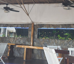 Mangos Beach Club photo