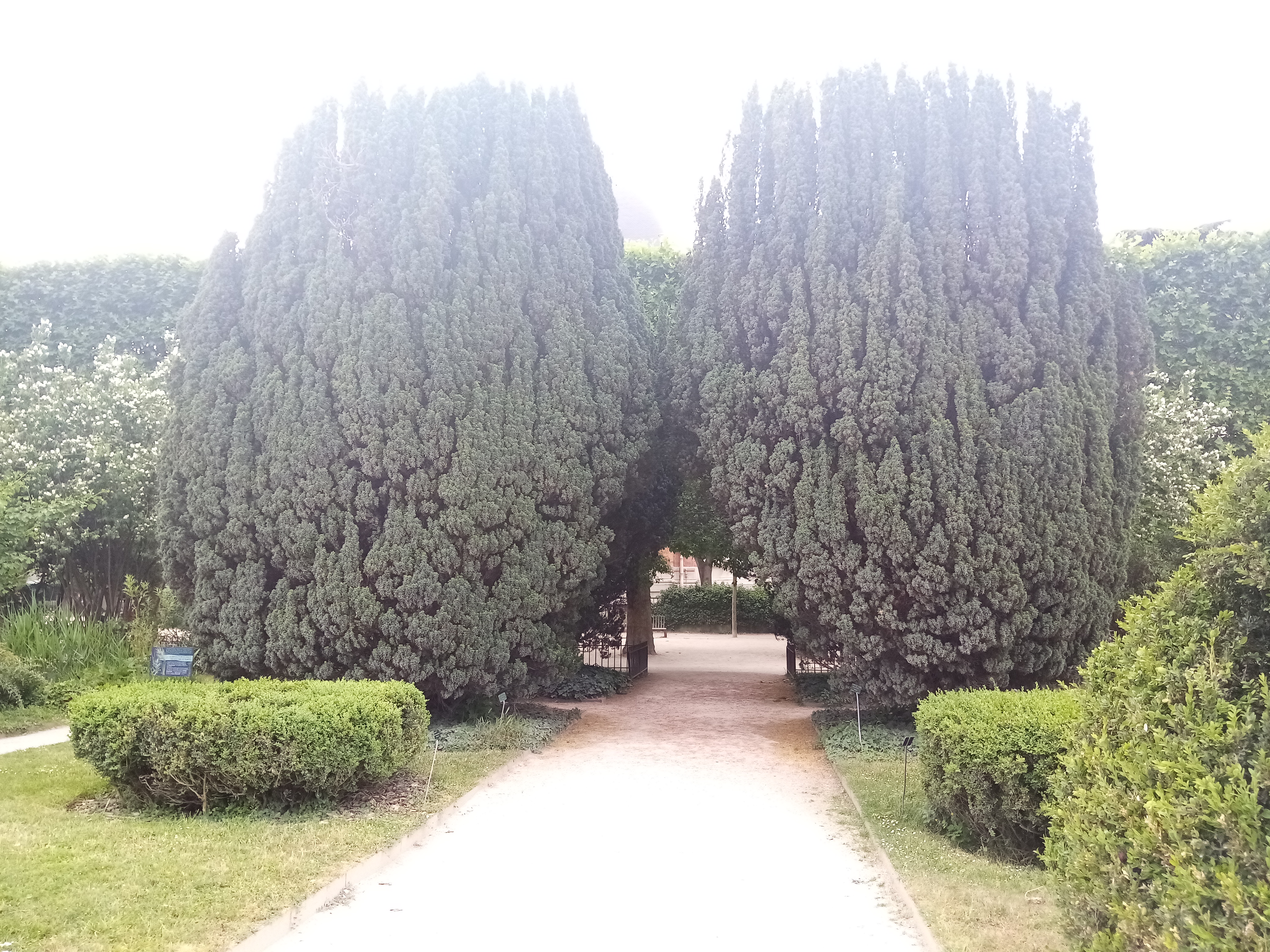 Photo n° 11 de l'avis de Mykola.a fait le 22/05/2022 à 18:49