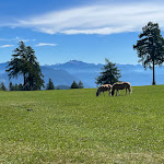 Photo n°2 de l'avis de Markus.o fait le 19/09/2022 à 12:24 sur le  Hotel & Gasthof zum Hirschen à Jenesien