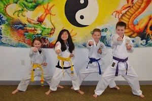 Vermont Martial Arts Academy image