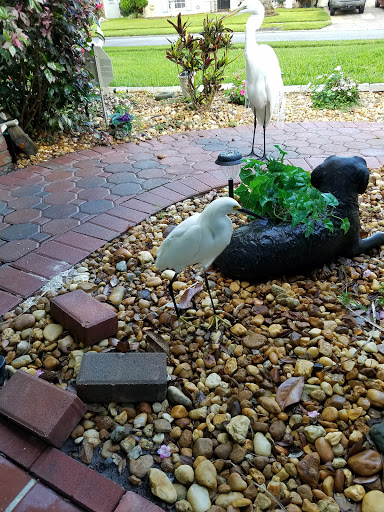 Golf Course «The Tides Golf Club», reviews and photos, 11832 66th Ave N, Seminole, FL 33772, USA