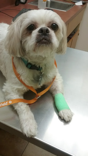 Pet Supply Store «PetSmart», reviews and photos, 1561 N Dysart Rd, Avondale, AZ 85323, USA