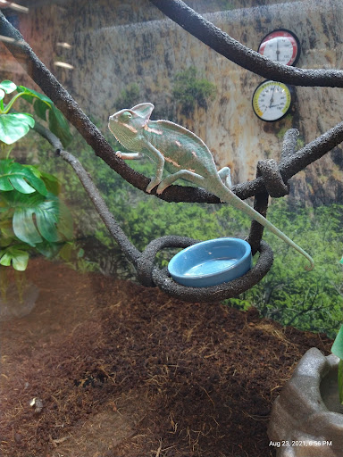 Pet Supply Store «Petco Animal Supplies», reviews and photos, 5850 Sepulveda Blvd, Van Nuys, CA 91411, USA