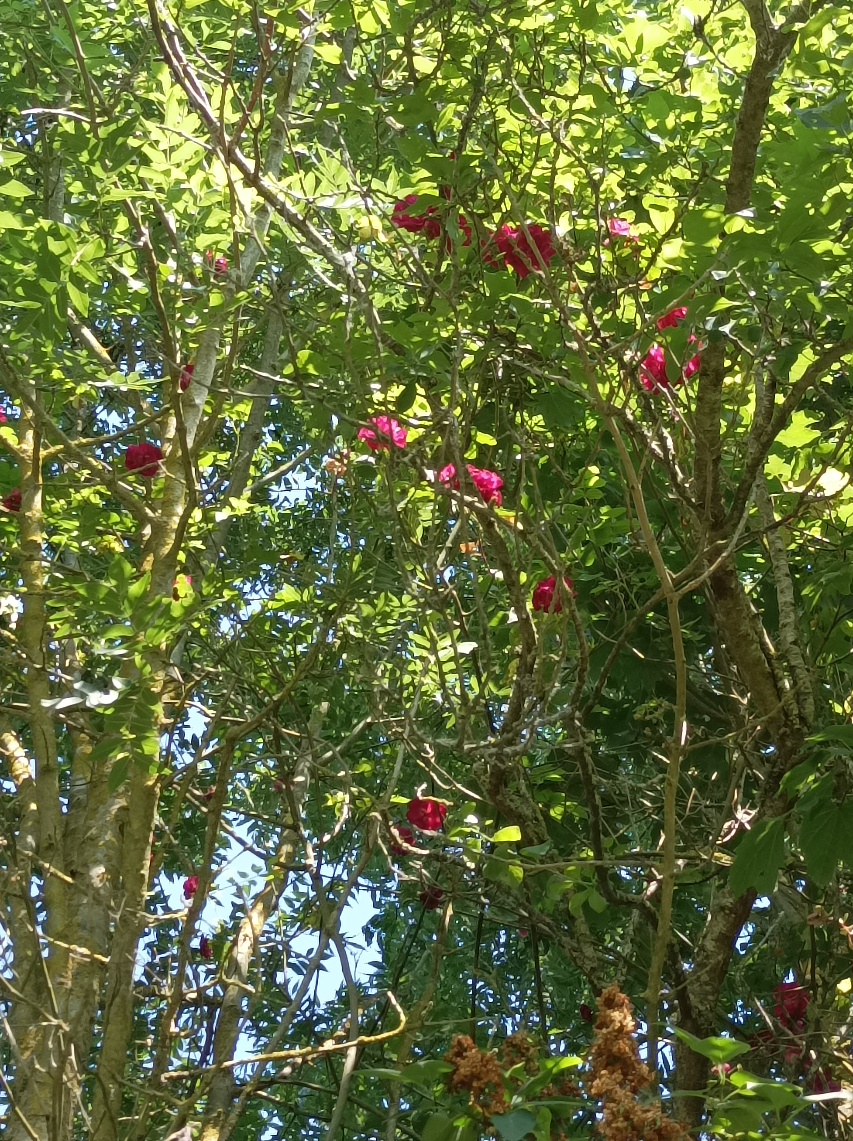 Photo n° 5 de l'avis de Mélanie.i fait le 10/06/2023 à 13:15