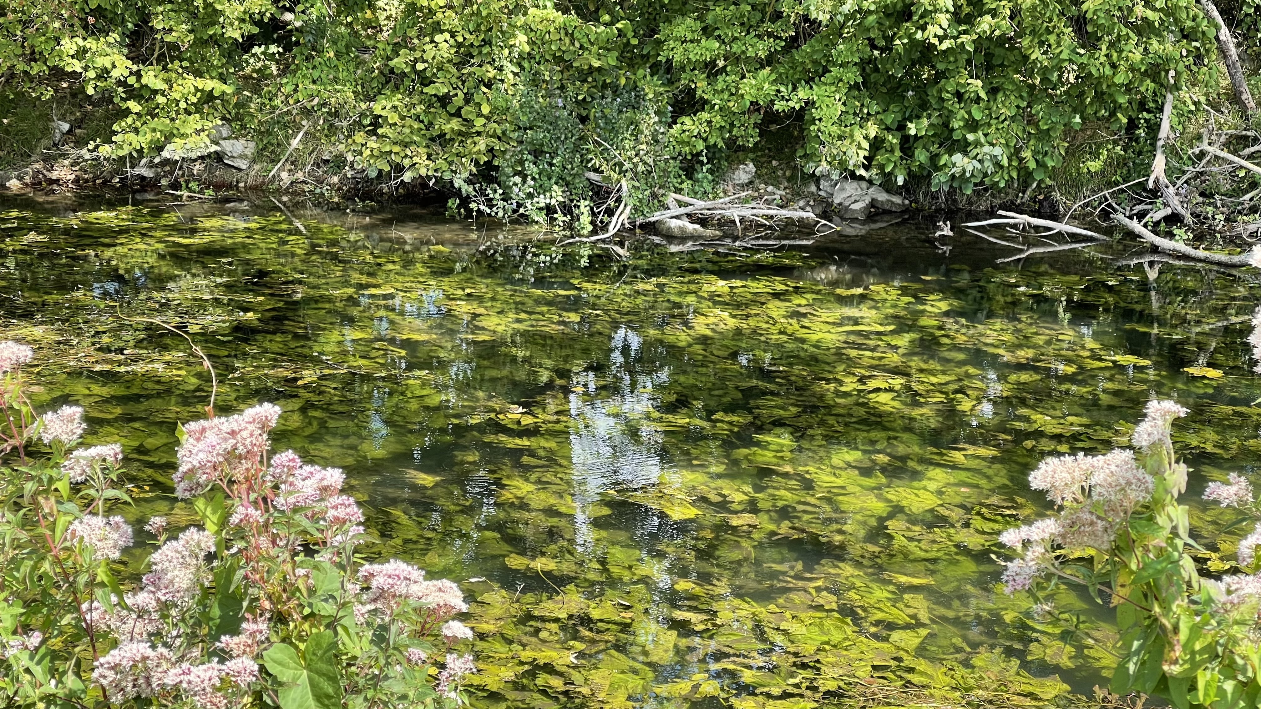 Photo n° 27 de l'avis de I.u fait le 05/09/2021 à 07:26