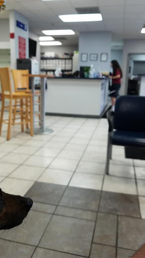 Hyundai Dealer «Red McCombs Hyundai Northwest», reviews and photos, 13663 Interstate 10 Frontage Rd, San Antonio, TX 78249, USA