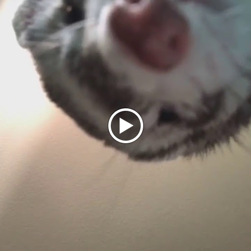 Department Store «Marshalls», reviews and photos, 7900 N Oracle Rd, Tucson, AZ 85704, USA