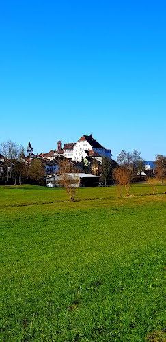 Kommentare und Rezensionen über Oberer Weier (Projekt Wiederherstellung Weiher)