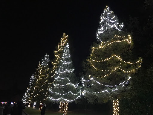 Vasona Lake County Park image