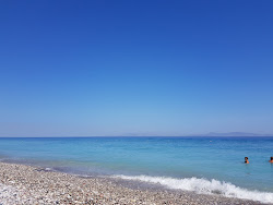 Ialysos Bay Beach II'in fotoğrafı vahşi alan