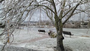 Lakeshore Park - photo 36
