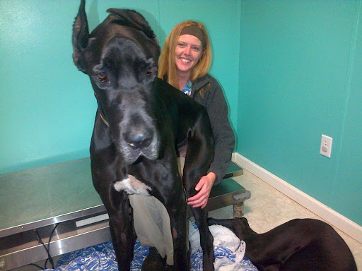 Double Springs Veterinary Hospital image