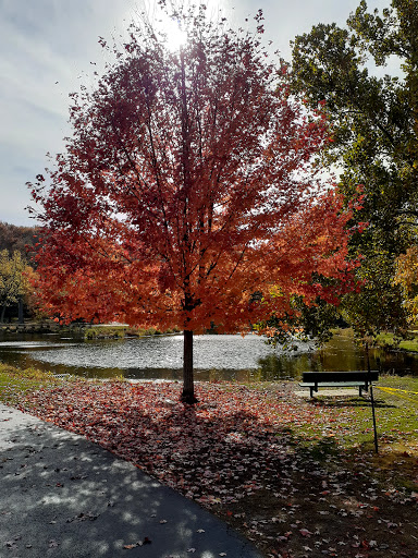 Nature Preserve «Hidden Oaks Conservation Area», reviews and photos, 419 Trout Farm Rd, Bolingbrook, IL 60440, USA