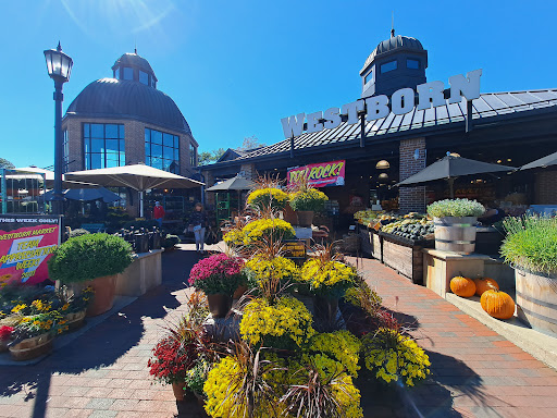 Westborn Market, 27659 Woodward Ave, Berkley, MI 48072, USA, 