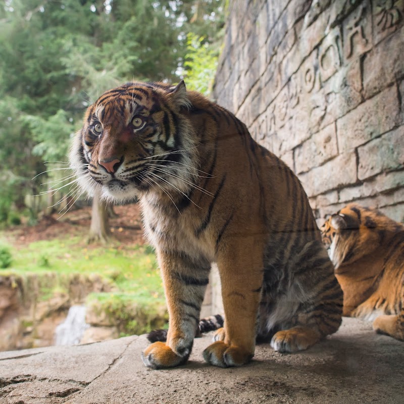 Point Defiance Zoo & Aquarium