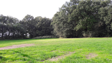 Johan Schellekens Stukadoorswerken