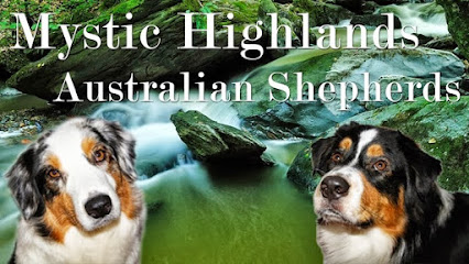 Mystic Highlands Australian Shepherds