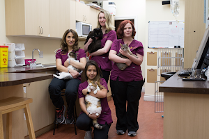 Downtown Toronto Cat Clinic image