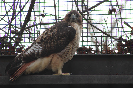 Zoo «Kansas Wildlife Exhibit», reviews and photos, 600-630 Nims N, Wichita, KS 67203, USA