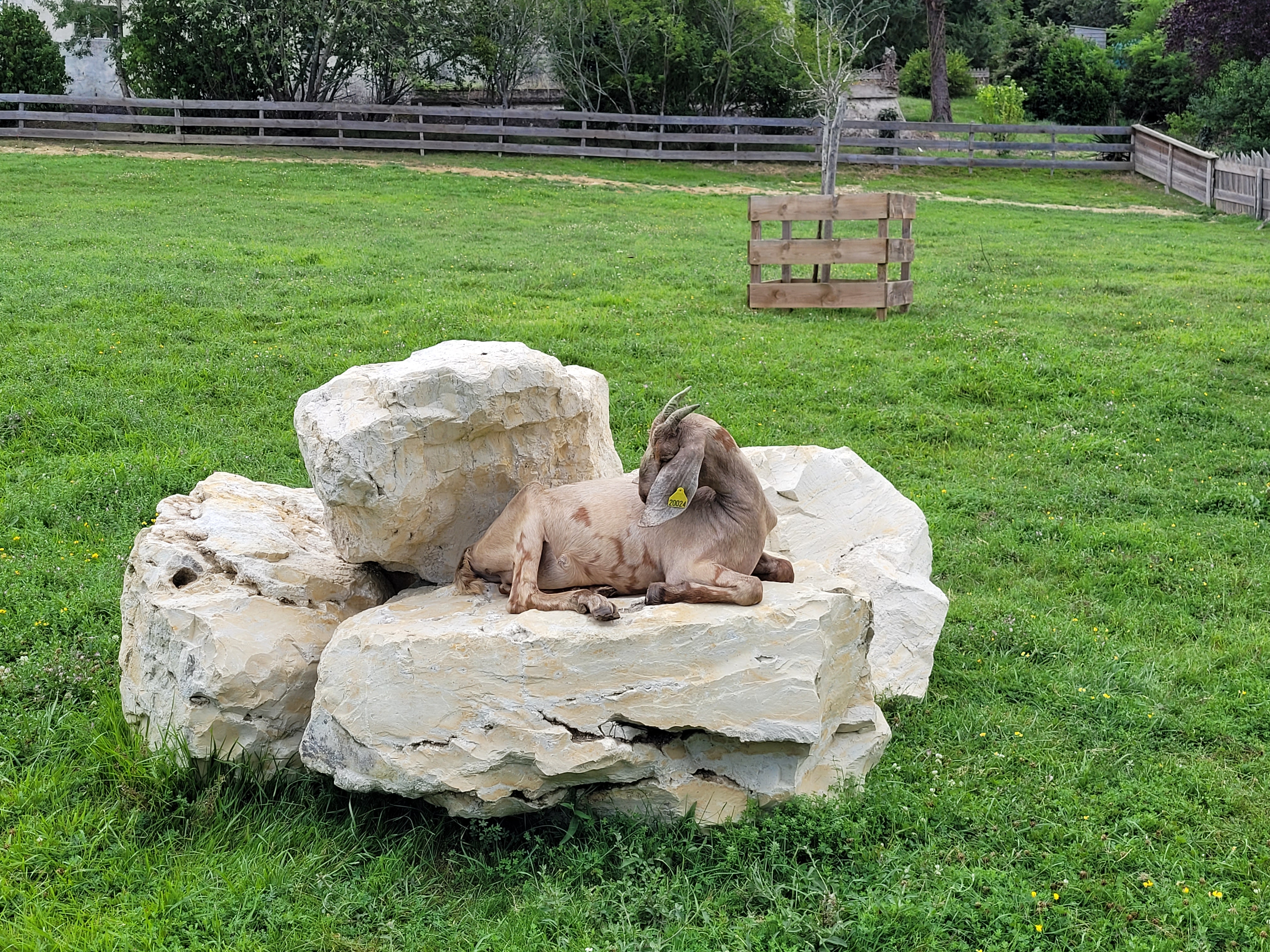 Photo n° 4 de l'avis de Rezak.A fait le 30/07/2021 à 09:27