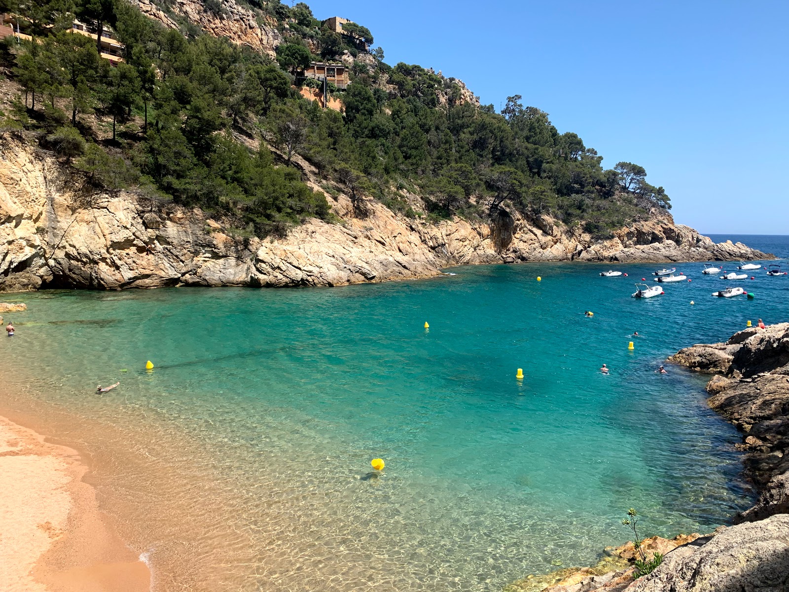 Photo de Plage de Cala Pola avec un niveau de propreté de très propre