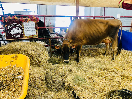 Auditorium «Exhibition Hall at the Alliant Energy Center», reviews and photos, 1919 Alliant Energy Center Way, Madison, WI 53713, USA