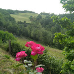 Photo n°5 de l'avis de Stefania. fait le 05/06/2022 à 15:17 sur le  Il Casale del Barone à Mercatello sul Metauro