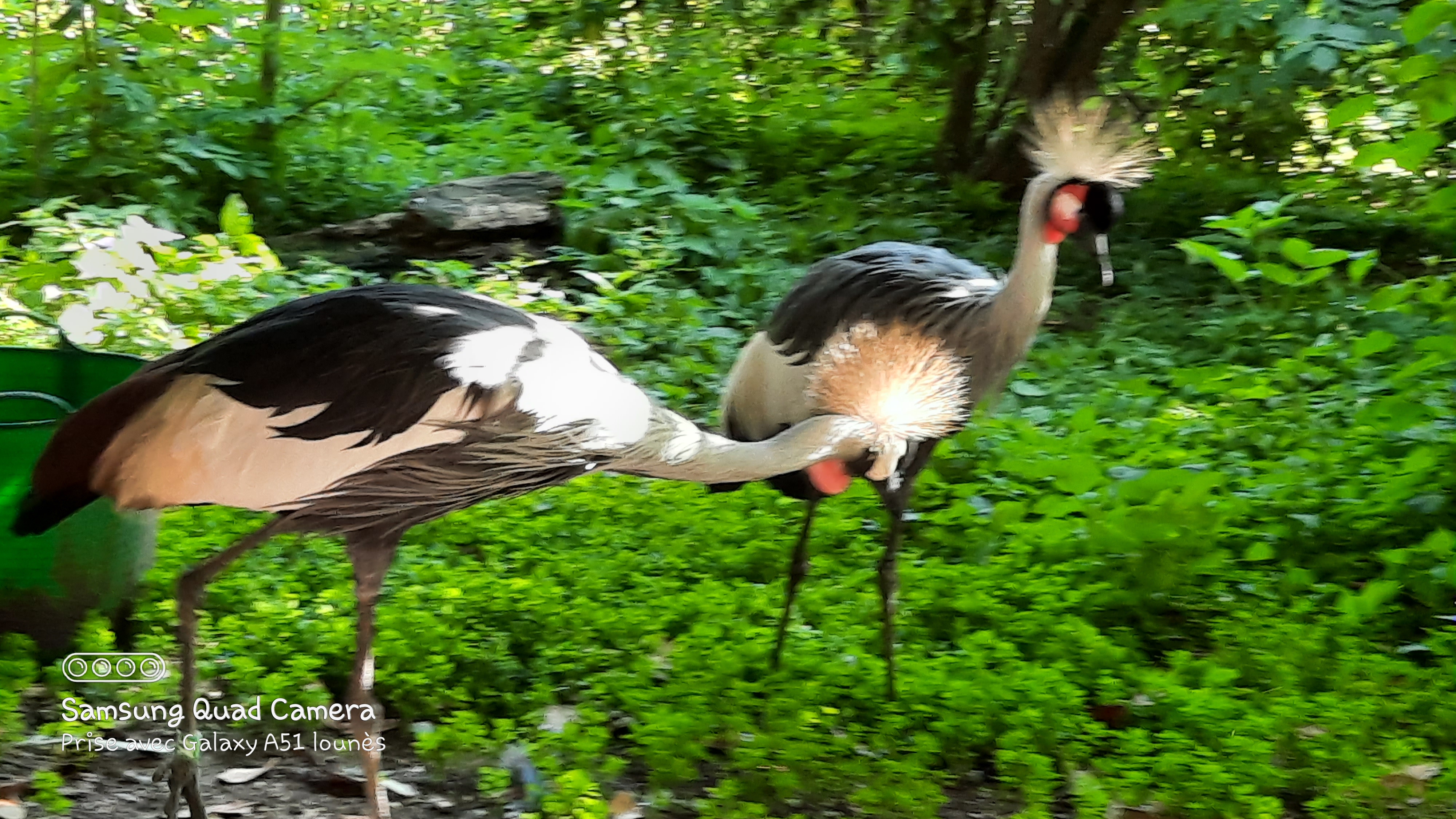 Photo n° 35 de l'avis de Lounes. fait le 02/06/2021 à 21:26