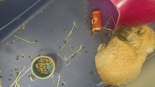 Pet Store «Pet World Warehouse Outlet», reviews and photos, 2148 W Beltline Hwy, Madison, WI 53713, USA