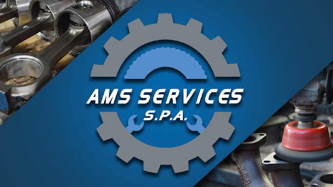 AMS Services spa