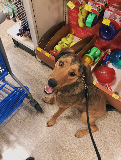 Pet Supply Store «PetSmart», reviews and photos, 857 N Val Vista Dr #106, Gilbert, AZ 85234, USA