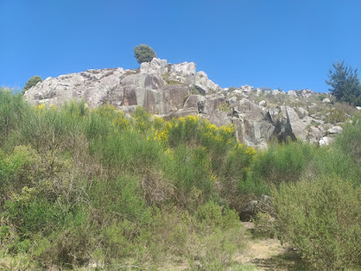 Cima Cerro Venado