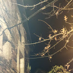 Photo n°12 de l'avis de Ana.e fait le 25/11/2023 à 01:26 sur le  Casa Da Viuva - Wine Bar à Lagares