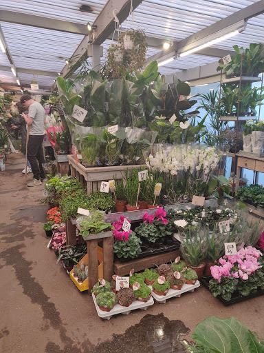 Typical flower shops in Copenhagen