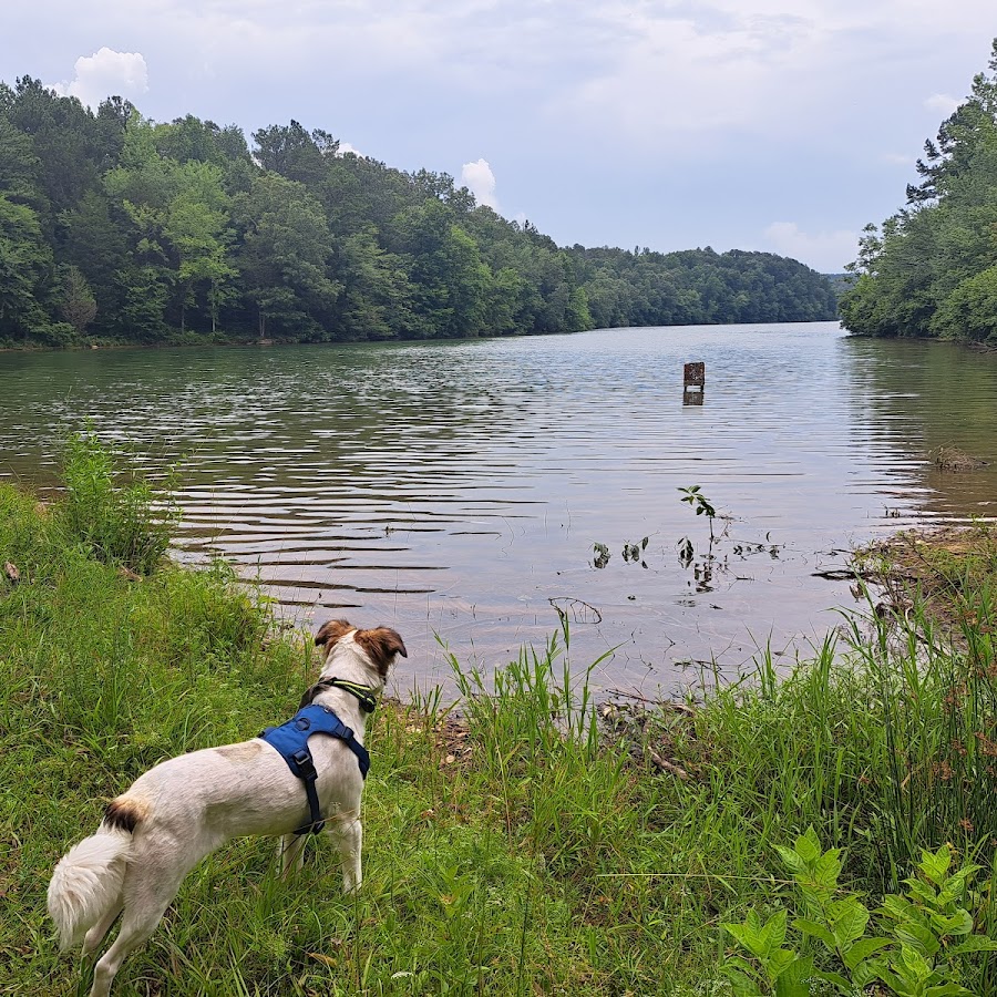 Kayak Lake