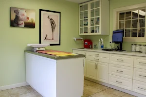 Brookline Animal Hospital, A Thrive Pet Healthcare Partner image