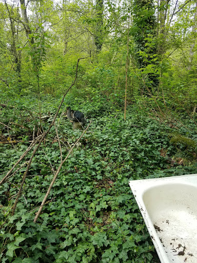 Park «Sacajawea Park», reviews and photos, 1401 S Dash Point Rd, Federal Way, WA 98003, USA