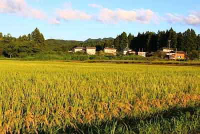 松岡ざいご暮らし