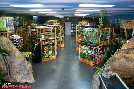 Reptile store Denton