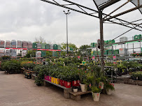 The Home Depot - Photo 3 - Car repair in Garland, TX, Richardson