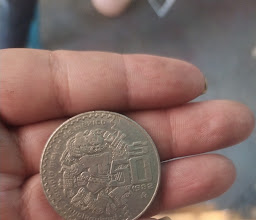 Numismatica Toluca photo
