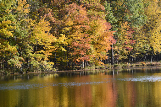 Pet Store «Abrams and Weakley General Store for Animals», reviews and photos, 3963 N 6th St, Harrisburg, PA 17110, USA