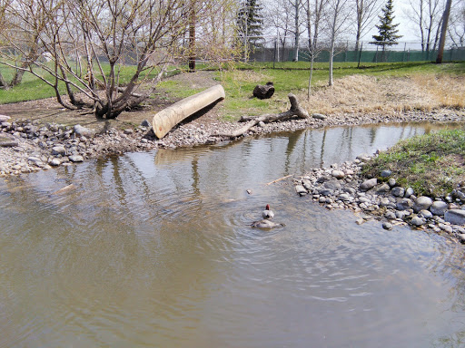 Zoo «Red River Zoo», reviews and photos, 4255 23rd Ave S, Fargo, ND 58104, USA