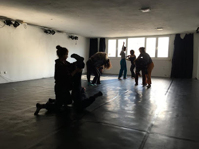 Çatı Çağdaş Dans Sanatçıları Derneği
