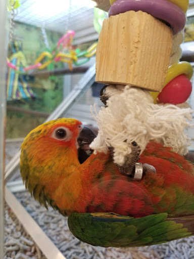 Pet Supply Store «PetSmart», reviews and photos, 6807 W Canal Dr, Kennewick, WA 99336, USA